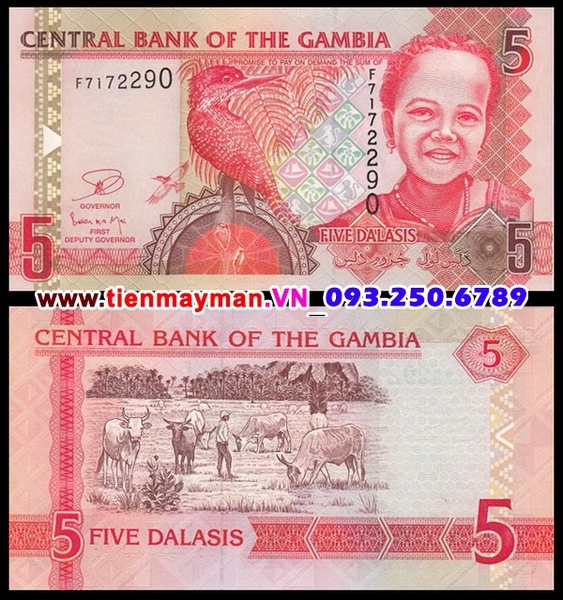 Tiền giấy Gambia 5 Dalasis 2013 UNC