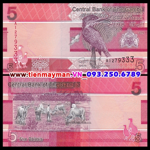 Tiền giấy Gambia 5 Dalasis 2019 UNC