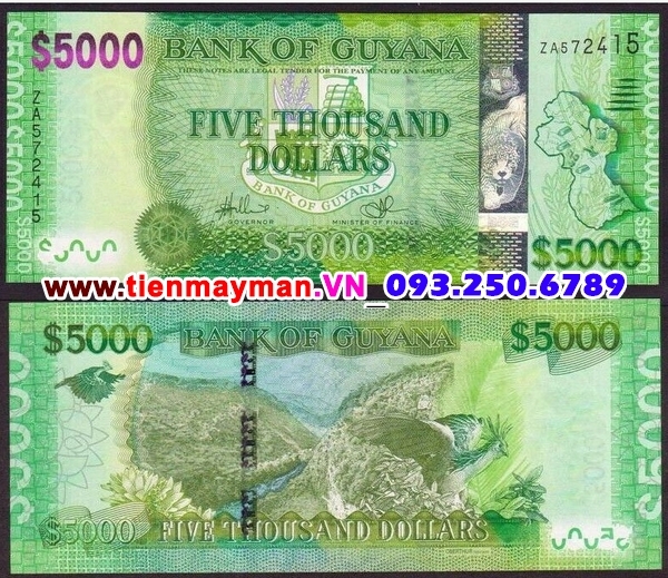 Tiền giấy Guyana 5000 Dollars 2013 UNC