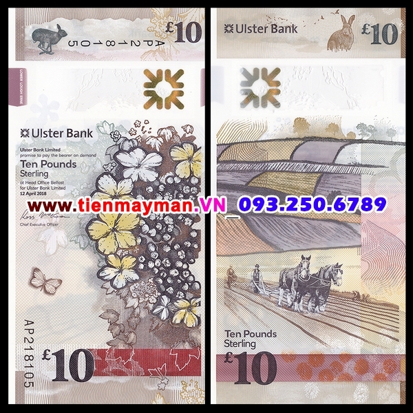  Tiền giấy Northern Ireland 10 Pound 2019 UNC Polymer