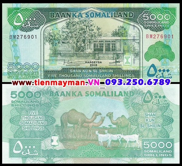 Tiền giấy Somaliland 5000 Shillings 2011 UNC