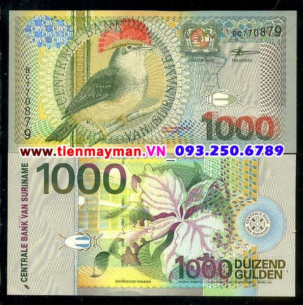 Tiền giấy Suriname 1000 Gulden 2000 UNC