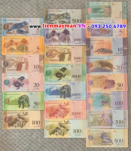 Bộ tiền Venezuela 21 tờ