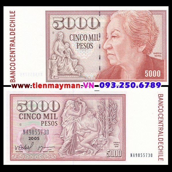 Tiền giấy Chile 5000 Pesos 2008 UNC