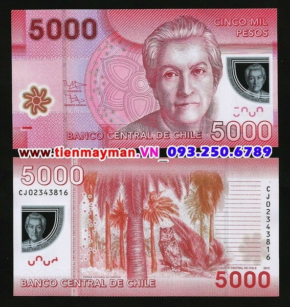 Tiền giấy Chile 5000 Pesos 2012 UNC polymer