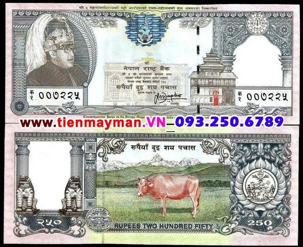 Tiền giấy Nepal 250 Rupees 1997 UNC