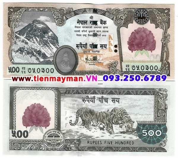 Tiền giấy Nepal 500 Rupees 2007 UNC