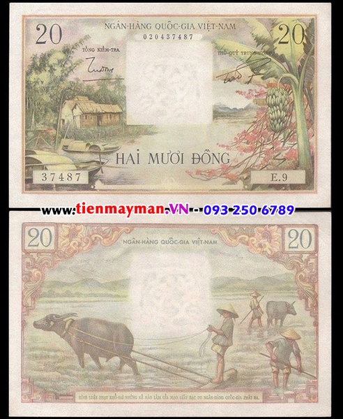 Tiền VNCH 20 Đồng bụi chuối 1955 | 20 Đồng 1955 lần 2