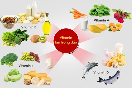 Nhóm vitamin tan trong dầu – vai trò và liều lượng khuyến cáo - Phụ Gia  Thực Phẩm