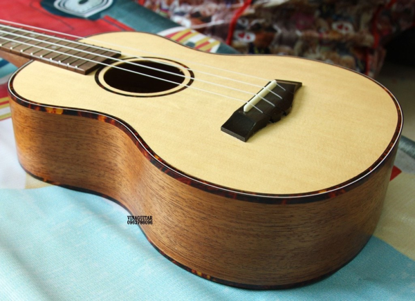 mua đàn ukulele hà nội