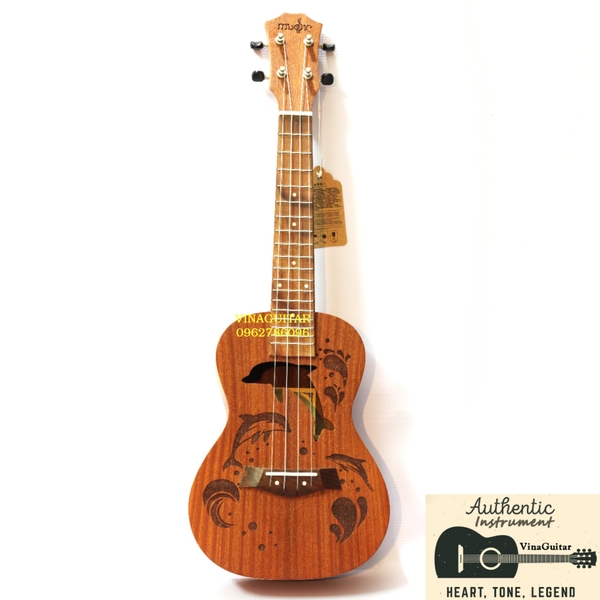 dan-ukulele-concert-music-ca-heo