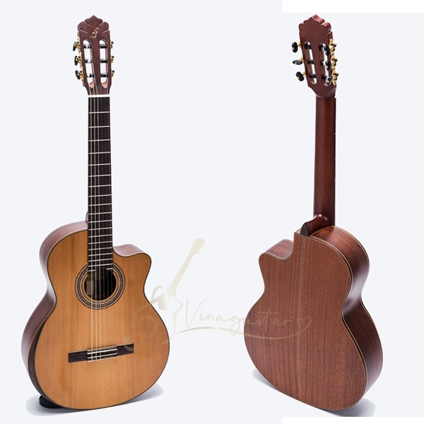 dan-guitar-classic-ba-don-c450j-tang-12-phu-kien-va-bao-hanh-2-nam