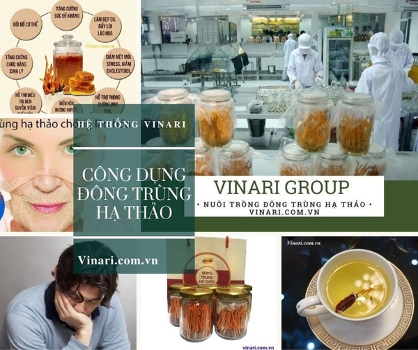 www.vinari.com.vn