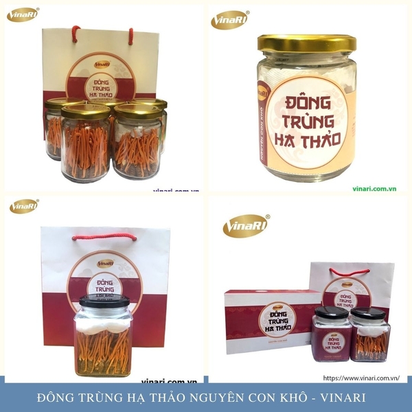 www.vinari.com.vn