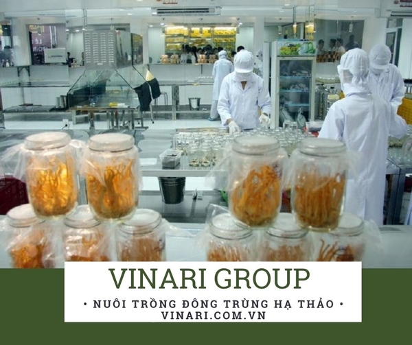 www.vinari.com.vn