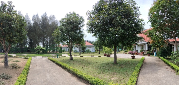 BUNGALOW HƯỚNG VƯỜN