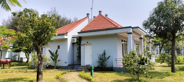 BUNGALOW HƯỚNG VƯỜN