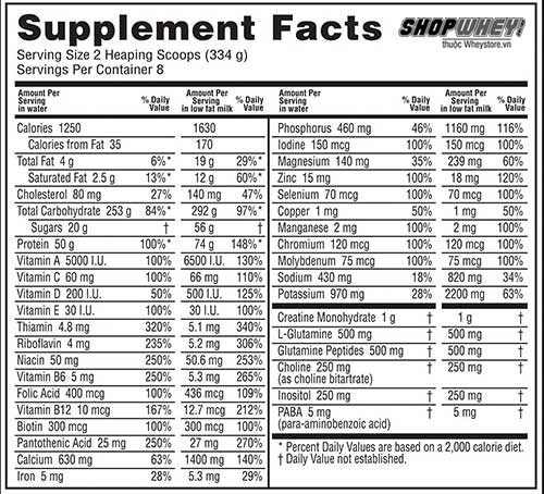 Nutrition Fact Serious mass 6lbs