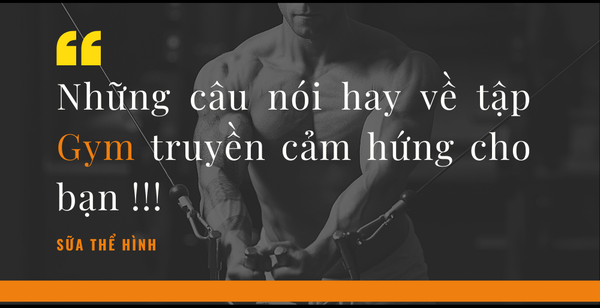 50+ những câu nói hay về tập gym hay nhất truyền cảm hứng cho bạn