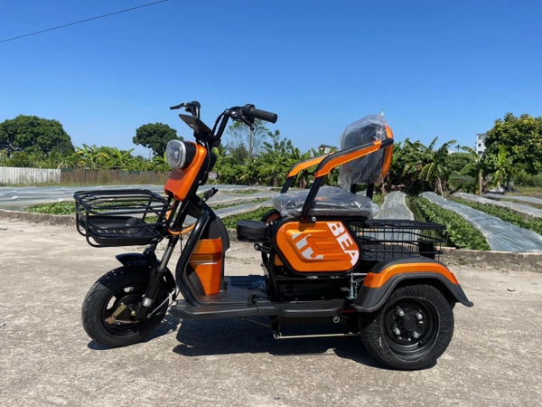 Xe điện 3 bánh là gì? Có mấy loại?