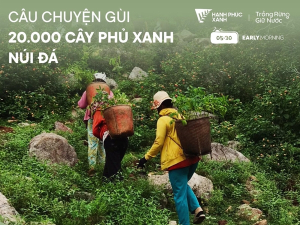 CAMPAIGN TRỒNG CÂY PHỦ XANH NÚI ĐÁ  CÙNG EARLY MORNING