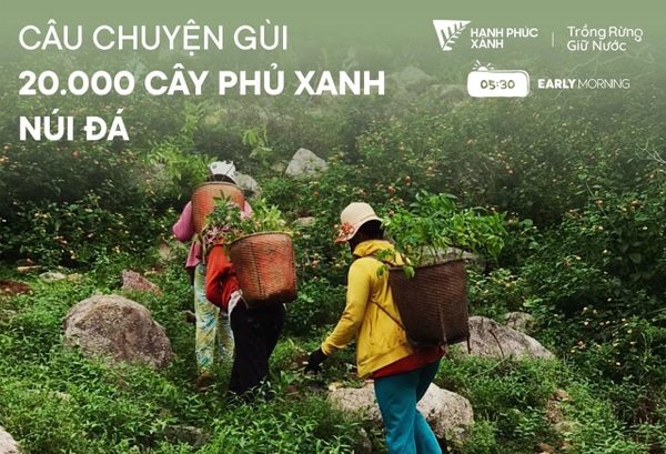 Ý TƯỞNG MỚI KHI GỌI VỐN CỘNG ĐỒNG CHO CÁC DỰ ÁN TRỒNG RỪNG