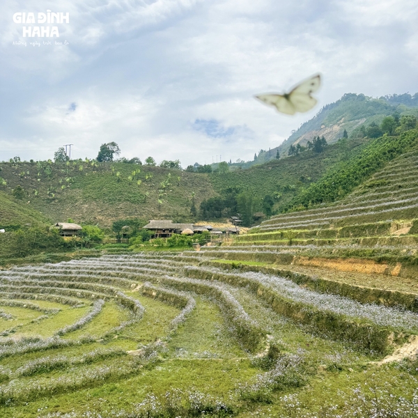 Xã Bản Liền - Gia đình Haha