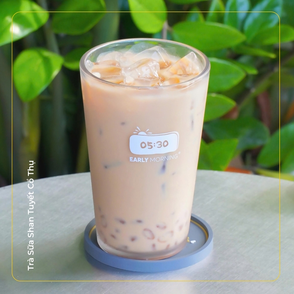 Trà sữa Shan Tuyết Cổ Thụ