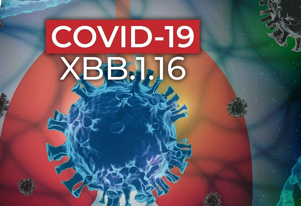Cảnh báo: Biến thể XBB.1.16 tiếp tục lây lan, Việt Nam giám sát chặt dịch Covid-19 sau dịp lễ
