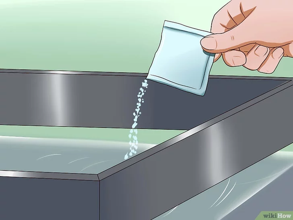 Điều Trị Bệnh Nấm Trắng Ở Cá Cảnh Thuỷ Sinh 5