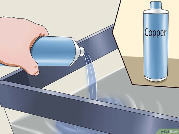 Điều Trị Bệnh Nấm Trắng Ở Cá Cảnh Thuỷ Sinh 6