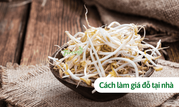 5 cách làm giá đỗ tại nhà cực đơn giản, một ngày là có