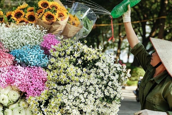 Vietnam Amazing Tour 15 Days