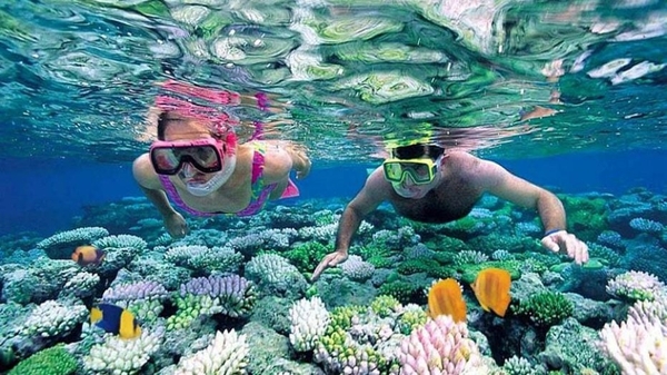 Tour Du Lịch Nha Trang – Mũi Né – Đà Lạt 5 Ngày 4 Đêm