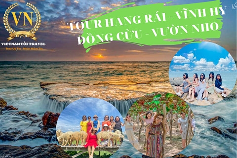 Tour Hang Rái Vĩnh Hy - Vườn Nho - Đồng Cừu [ ĐẸP-RẺ-CHẤT]