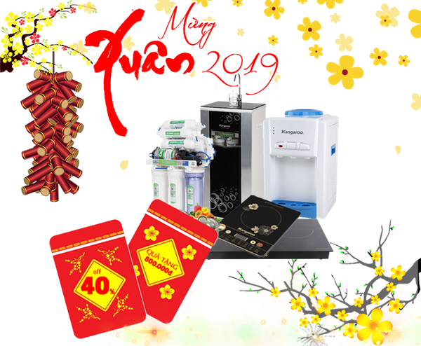 Mừng xuân 2019 - Giảm sốc 40% | Combo quà tặng 800.000đ