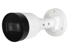 Camera IP hồng ngoại 4.0MP DAHUA DS2431SFIP-S2