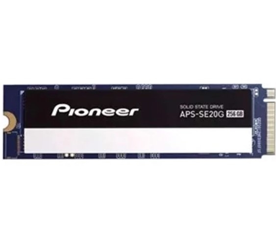 Ổ Cứng SSD 256GB Pioneer M2 NVMe (APS-SE20-256)
