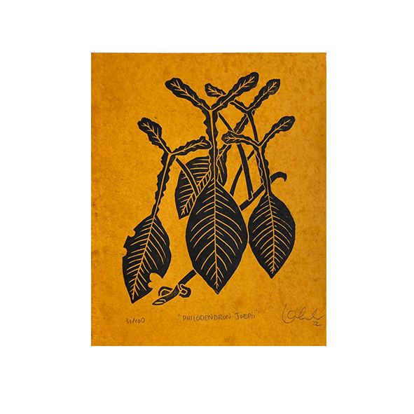 Philodendron Joepii Lino Print