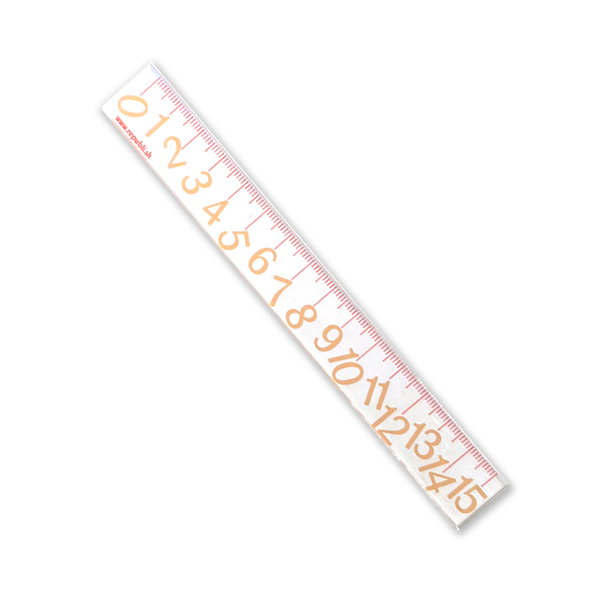 Acrylic 15cm Ruler [4 colours]
