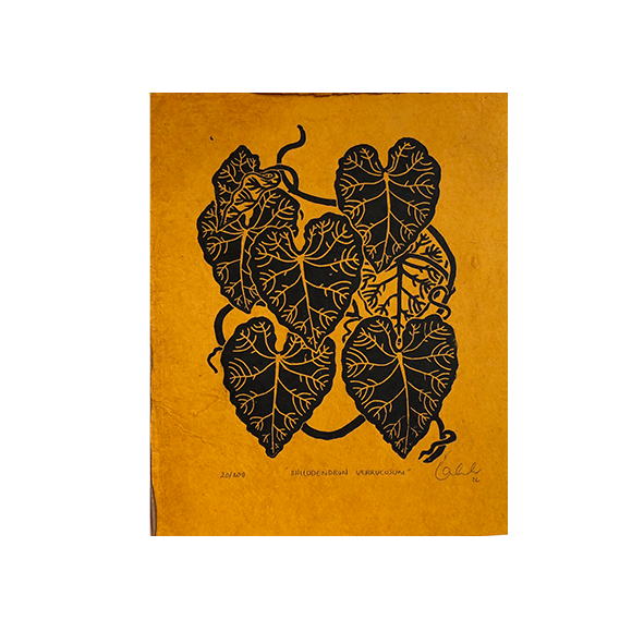 Philodendron Verrucosum Lino Print