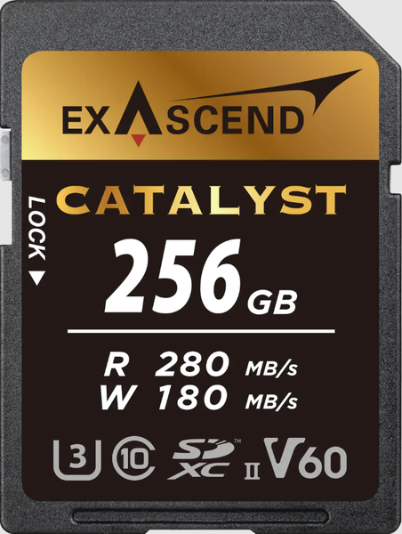 the-nho-sd-v60-catalyst-256gb-hieu-exascend-chinh-hang