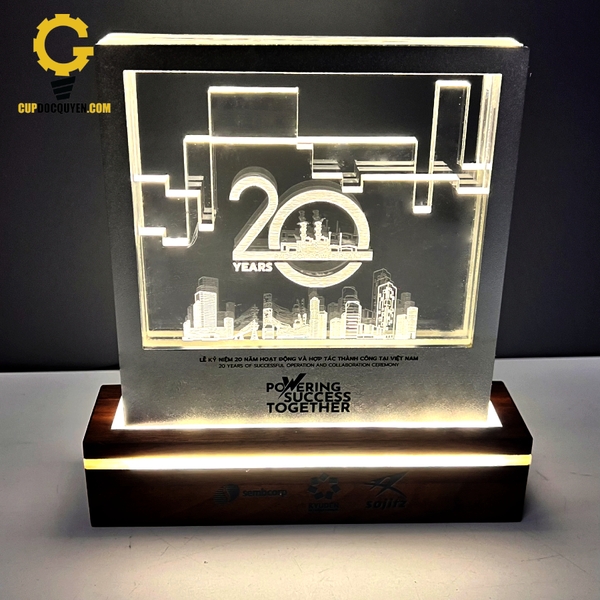 Cúp kỷ niệm 20 năm -