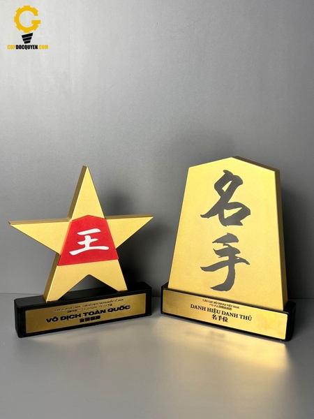 Cúp vinh danh ngôi sao - Giải đấu IST 2024 VIETNAM QUALIFIERS - ROAD TO TOKYO