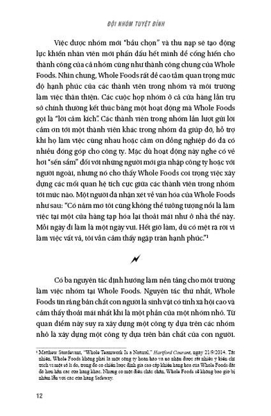 Đội Nhóm Tuyệt Đỉnh - Tại sao Pixar, Netflix, Airbnb và nhiều công ty công nghệ khác thành công trong khi số đông đều thất bại