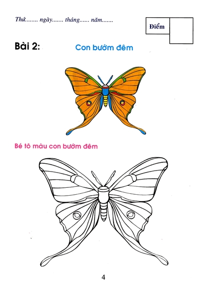 Bé Tô Màu Và Làm Quen Với Môi Trường - Côn Trùng