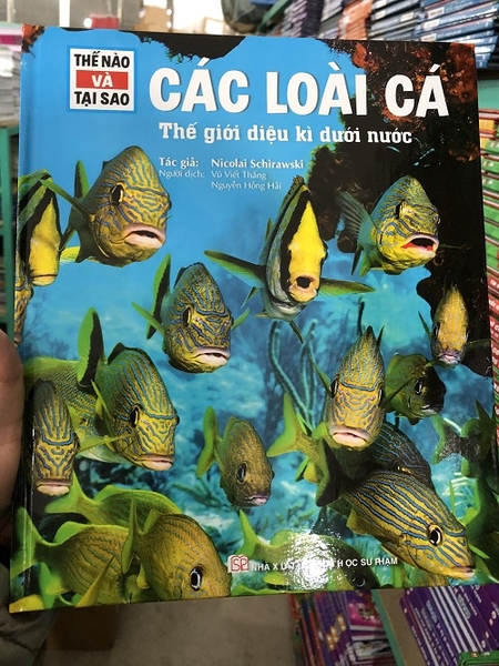 Thế Nào Và Tại Sao: Các Loài Cá - Thế Giới Diệu Kì Dưới Nước ( Tái Bản )