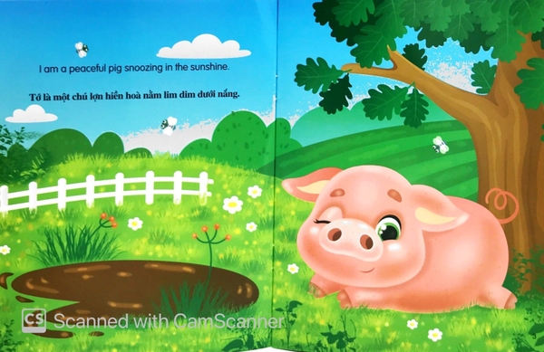 Song Ngữ A-V - Những Câu Chuyện Về Tg Loài Vật - Tớ Là Một Chú Lợn