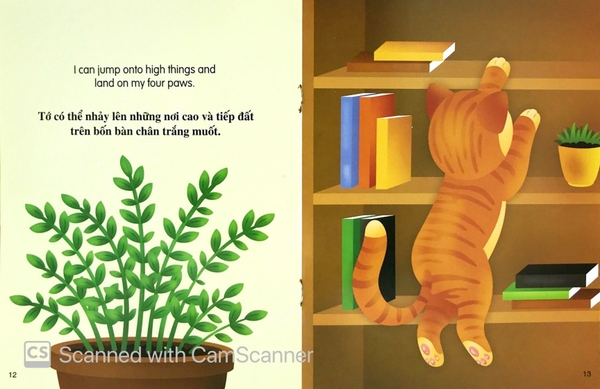 Song Ngữ A-V - Những Câu Chuyện Về Tg Loài Vật - Tớ Là Một Chú Mèo