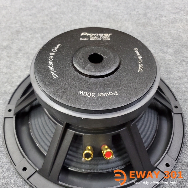 Cặp Loa Bass 30 P8830